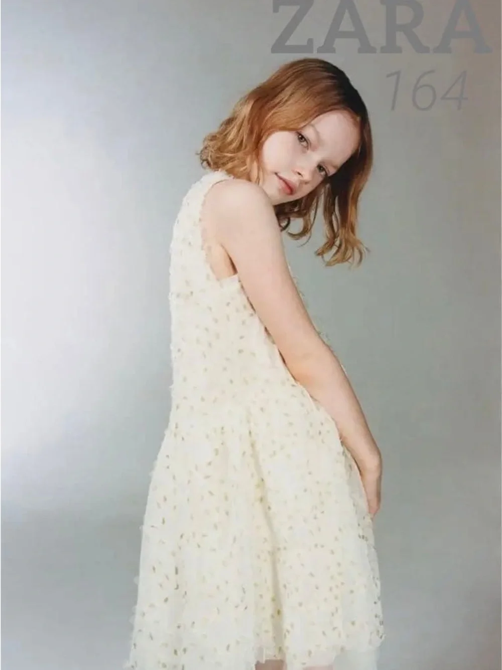 ZARA Kids Girls White Gold Metallic Embroidery Tulle Dress